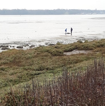 Picture of my children far off in the mud and water of the Shotley Peninsula, when we were out for a free country walk