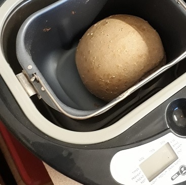 Picture of a little sour dough loaf in our bargain breadmaker