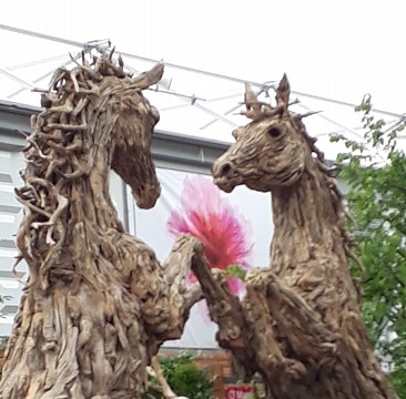 Picture of a pair of giant driftwood horses for my post about Chelsea Flower Show for less