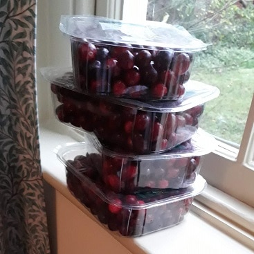 Picture of 4 packs of cranberries for my post with five more festive frugal things