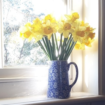 Picture of daffodils in a jug on a windowsill for my post on spending diaries