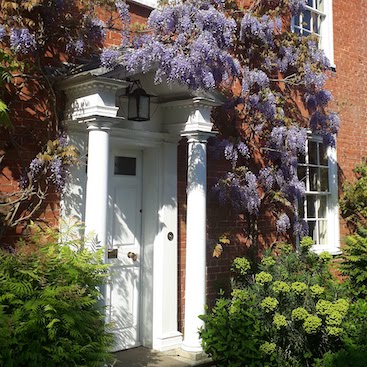 Picture of our front door covered with wisteria