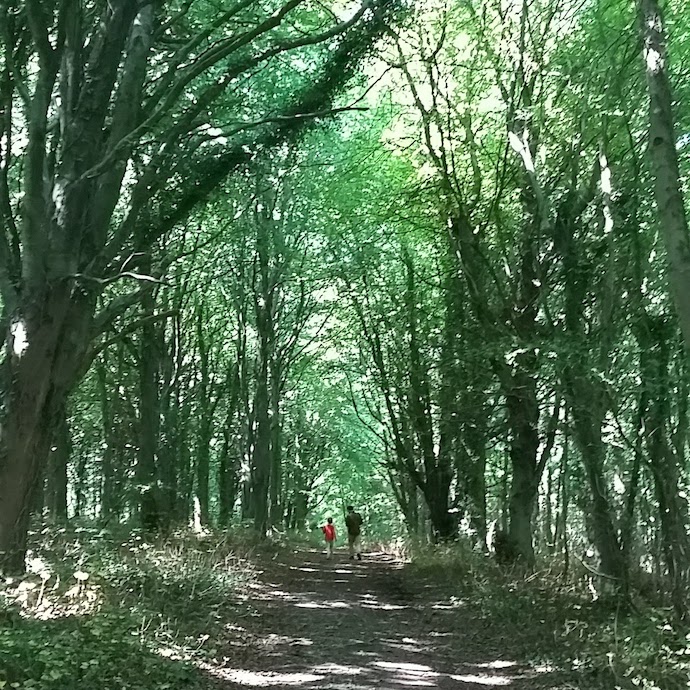 Picture of my husband and son walking along the Railway Walk